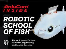 Blueswarm: Decentralized Robotic Fish Swarm Together Which uses Arducam Multi-camera Adapter and Raspberry Pi