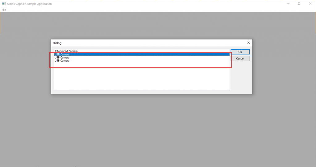 webcams having duplicate device names in windows