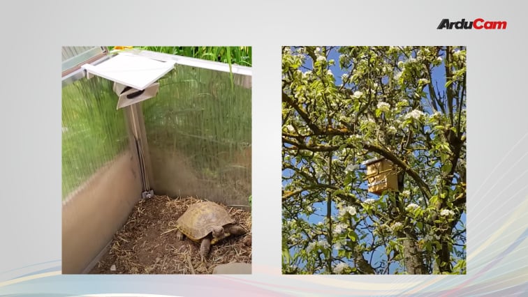 pet detector camera and nest camera projects featuring ov2640 or ov7670 cameras