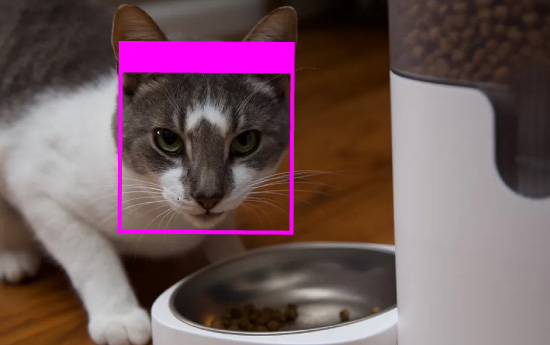Pet Auto Feeder