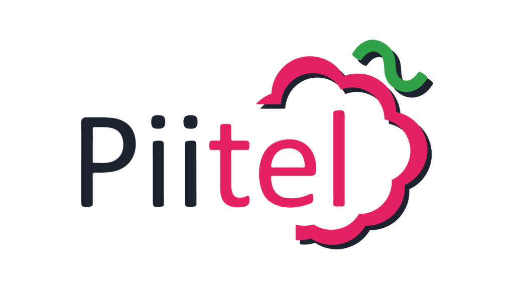 PIITEL IMPORT AND EXPORT COMPONETS LTD LOGO