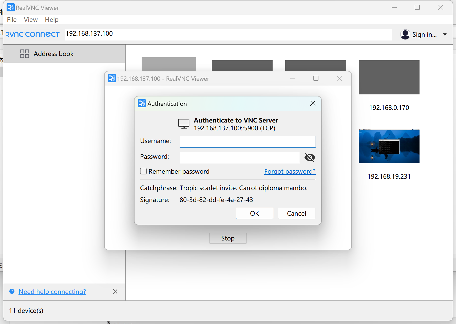 login-device-vnc-picture-2